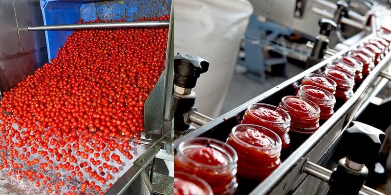 Ketchup Processing